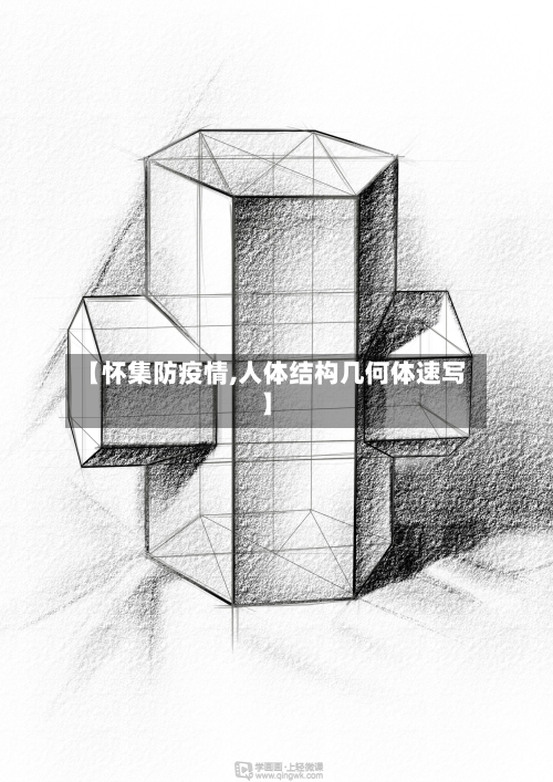 【怀集防疫情,人体结构几何体速写】-第2张图片