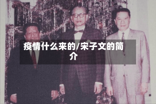 疫情什么来的/宋子文的简介-第3张图片