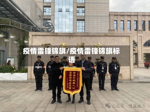 疫情雷锋锦旗/疫情雷锋锦旗标语