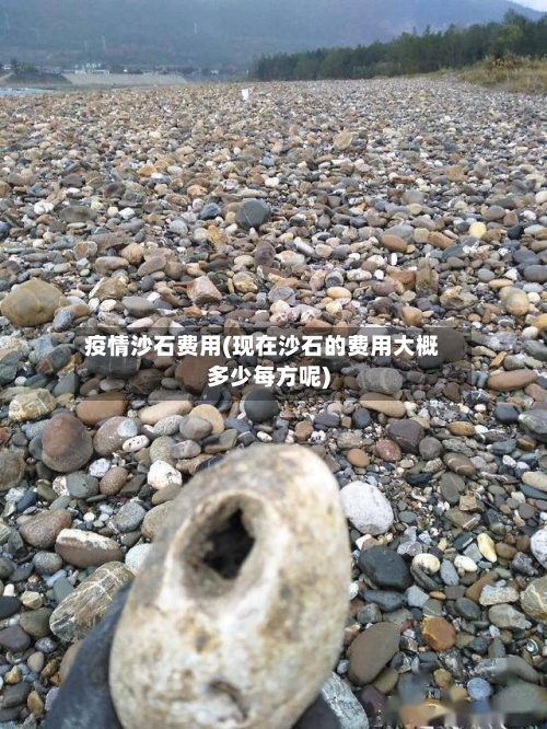 疫情沙石费用(现在沙石的费用大概多少每方呢)-第3张图片