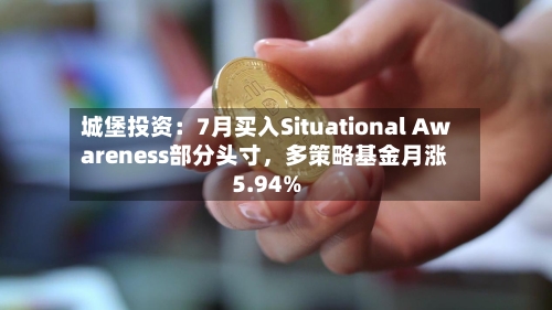 城堡投资：7月买入Situational Awareness部分头寸，多策略基金月涨5.94%-第2张图片