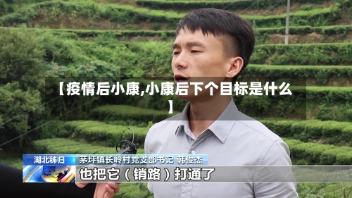 【疫情后小康,小康后下个目标是什么】-第2张图片