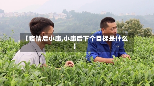 【疫情后小康,小康后下个目标是什么】-第3张图片