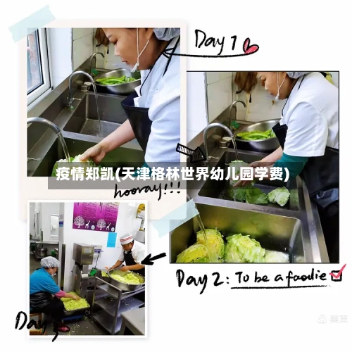 疫情郑凯(天津格林世界幼儿园学费)-第2张图片
