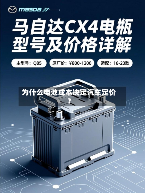 为什么电池成本决定汽车定价?-第2张图片
