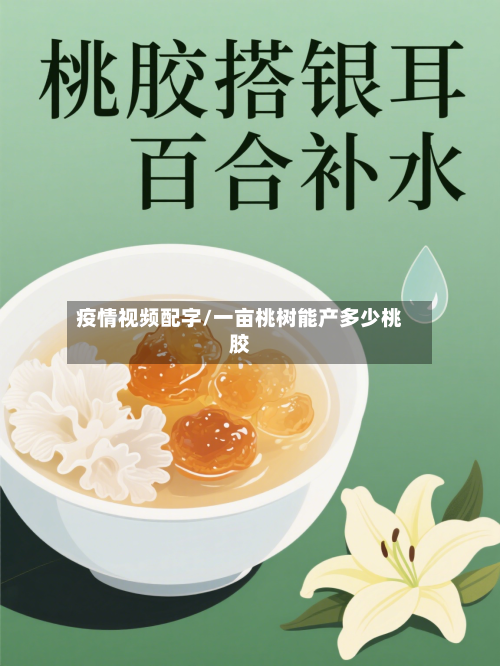 疫情视频配字/一亩桃树能产多少桃胶-第2张图片