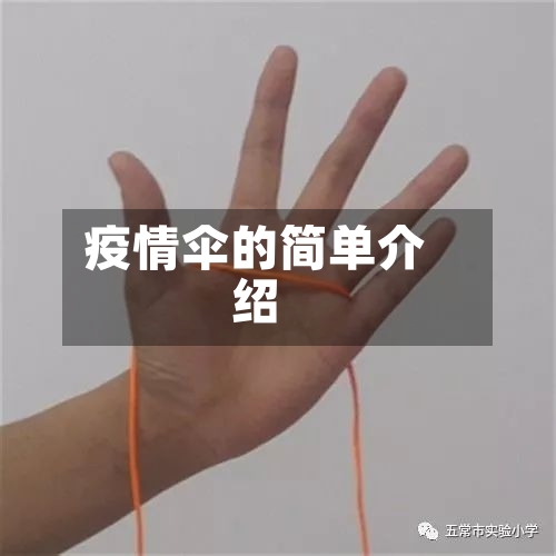 疫情伞的简单介绍