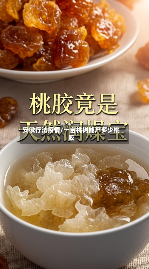 安徽疗法疫情/一亩桃树能产多少桃胶