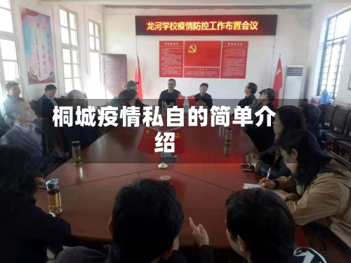 桐城疫情私自的简单介绍