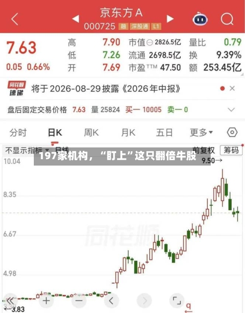 197家机构，“盯上”这只翻倍牛股