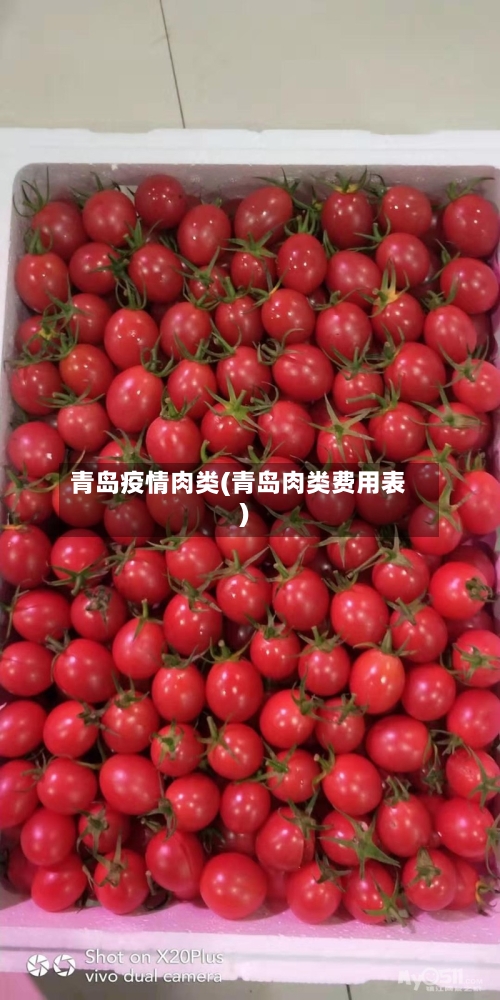 青岛疫情肉类(青岛肉类费用表)-第2张图片