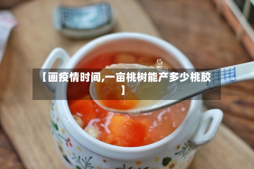 【画疫情时间,一亩桃树能产多少桃胶】