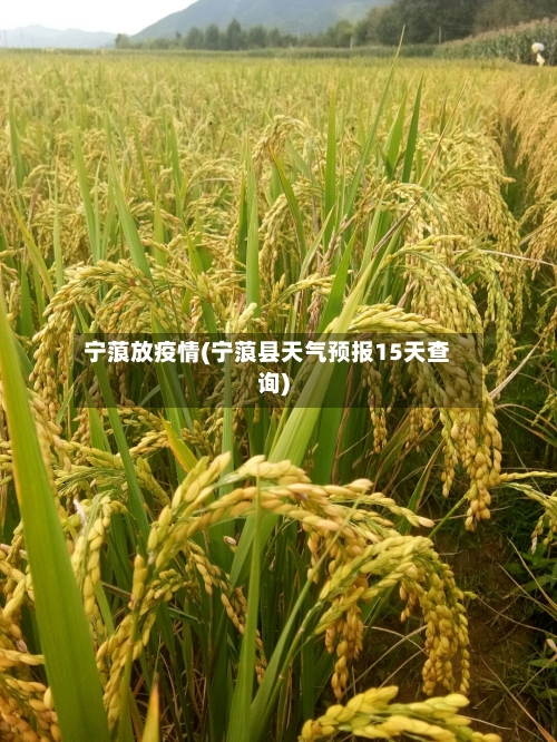 宁蒗放疫情(宁蒗县天气预报15天查询)-第2张图片