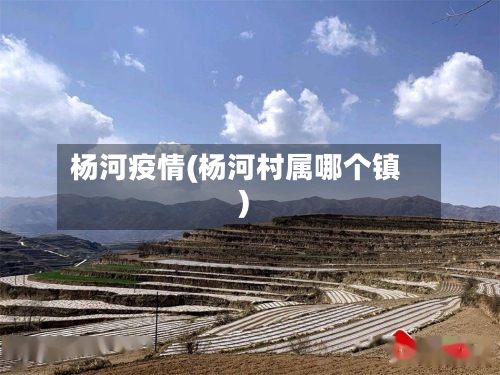 杨河疫情(杨河村属哪个镇)
