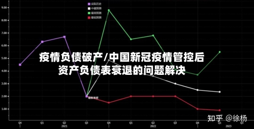 疫情负债破产/中国新冠疫情管控后资产负债表衰退的问题解决-第3张图片