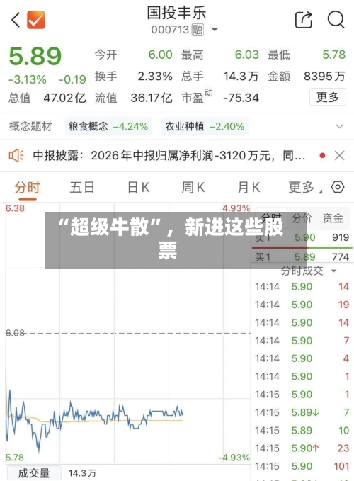 “超级牛散”，新进这些股票