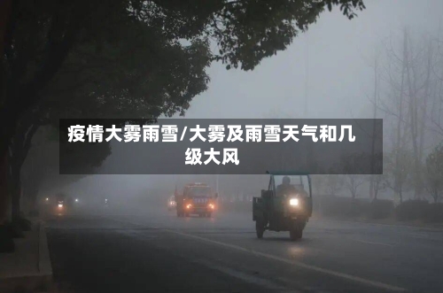 疫情大雾雨雪/大雾及雨雪天气和几级大风-第2张图片