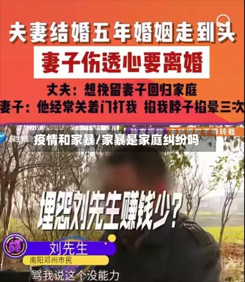 疫情和家暴/家暴是家庭纠纷吗