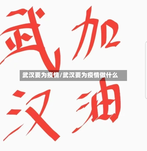 武汉要为疫情/武汉要为疫情做什么-第3张图片