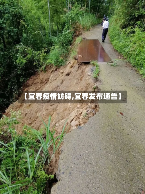 【宜春疫情妨碍,宜春发布通告】