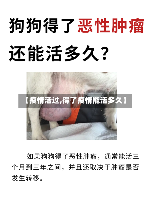 【疫情活过,得了疫情能活多久】-第2张图片