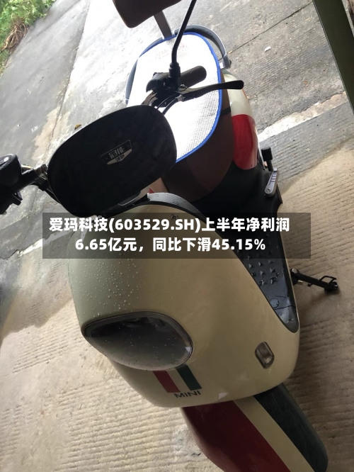 爱玛科技(603529.SH)上半年净利润6.65亿元，同比下滑45.15%