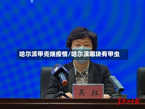 哈尔滨甲壳烧疫情/哈尔滨哪块有甲虫