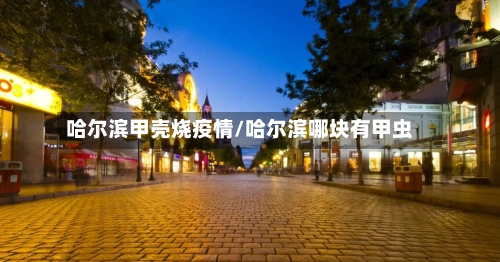 哈尔滨甲壳烧疫情/哈尔滨哪块有甲虫-第2张图片