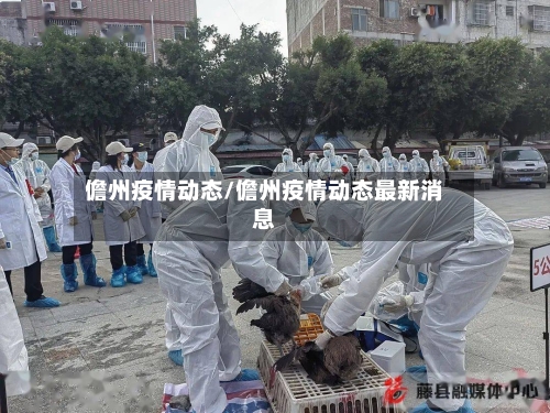 儋州疫情动态/儋州疫情动态最新消息-第2张图片