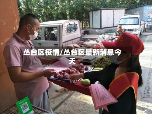 丛台区疫情/丛台区最新消息今天-第2张图片