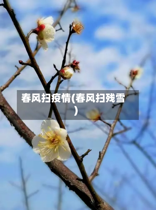 春风扫疫情(春风扫残雪)-第2张图片