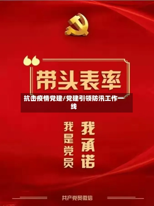 抗击疫情党建/党建引领防汛工作一线-第2张图片