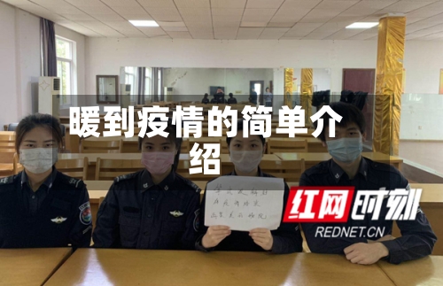 暖到疫情的简单介绍