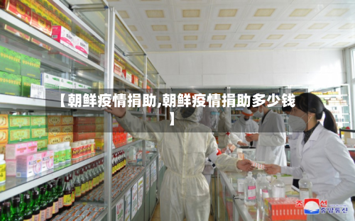 【朝鲜疫情捐助,朝鲜疫情捐助多少钱】