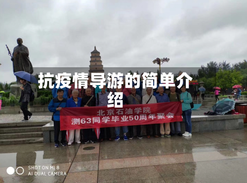 抗疫情导游的简单介绍