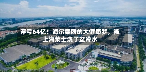 浮亏64亿！海尔集团的大健康梦，被上海莱士浇了盆冷水-第2张图片
