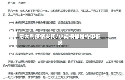 意大利疫情发钱/小规模都是零申报吗