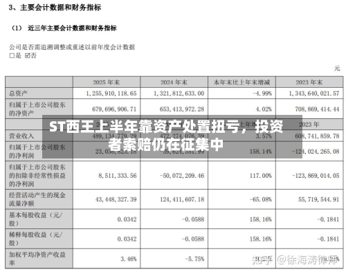 ST西王上半年靠资产处置扭亏，投资者索赔仍在征集中-第3张图片