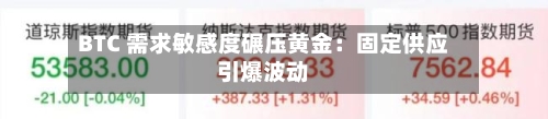 BTC 需求敏感度碾压黄金：固定供应引爆波动
