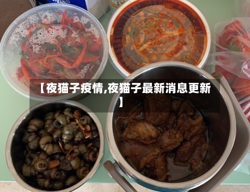 【夜猫子疫情,夜猫子最新消息更新】-第2张图片