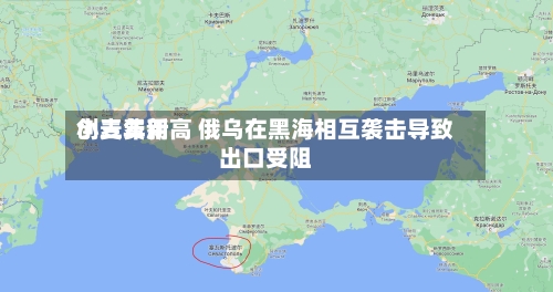 小麦费用
创三年新高 俄乌在黑海相互袭击导致出口受阻-第3张图片