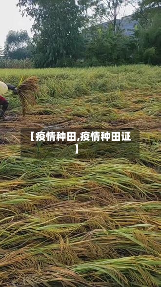 【疫情种田,疫情种田证】