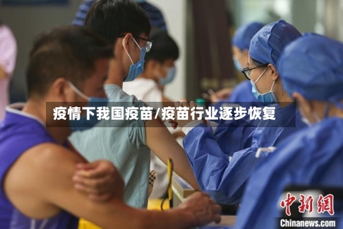 疫情下我国疫苗/疫苗行业逐步恢复-第3张图片